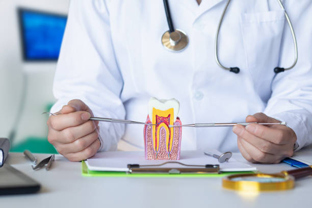 Best Emergency Wisdom Teeth Removal in Shepherdsville, KY